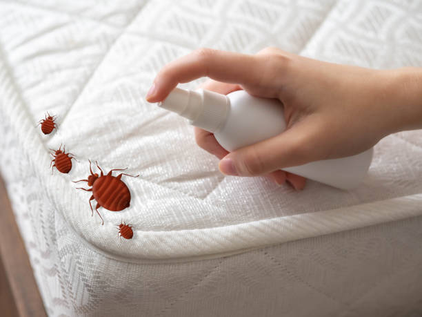 Best Commercial Pest Control Services  in Pantops, VA