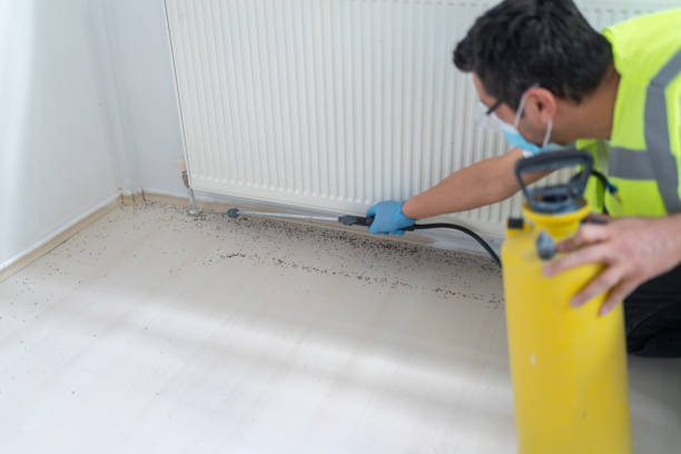 Best Pest Control for Homes  in Pantops, VA